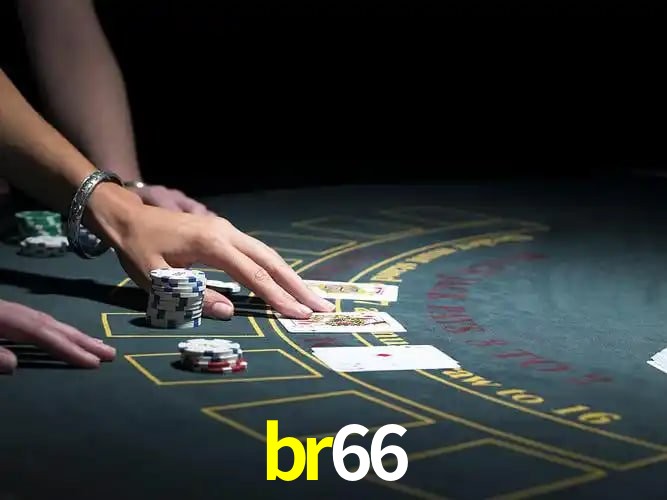 Platform Technology br66