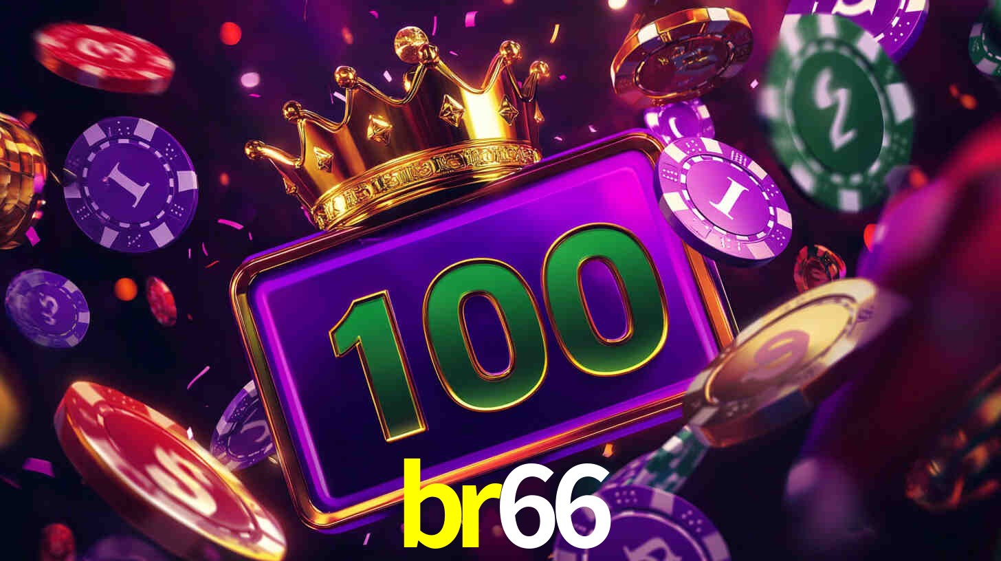 Premium Interface br66