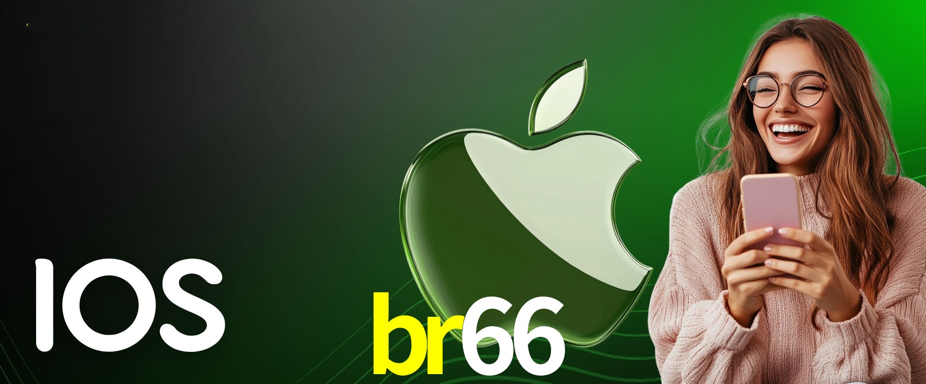 Security Systems br66